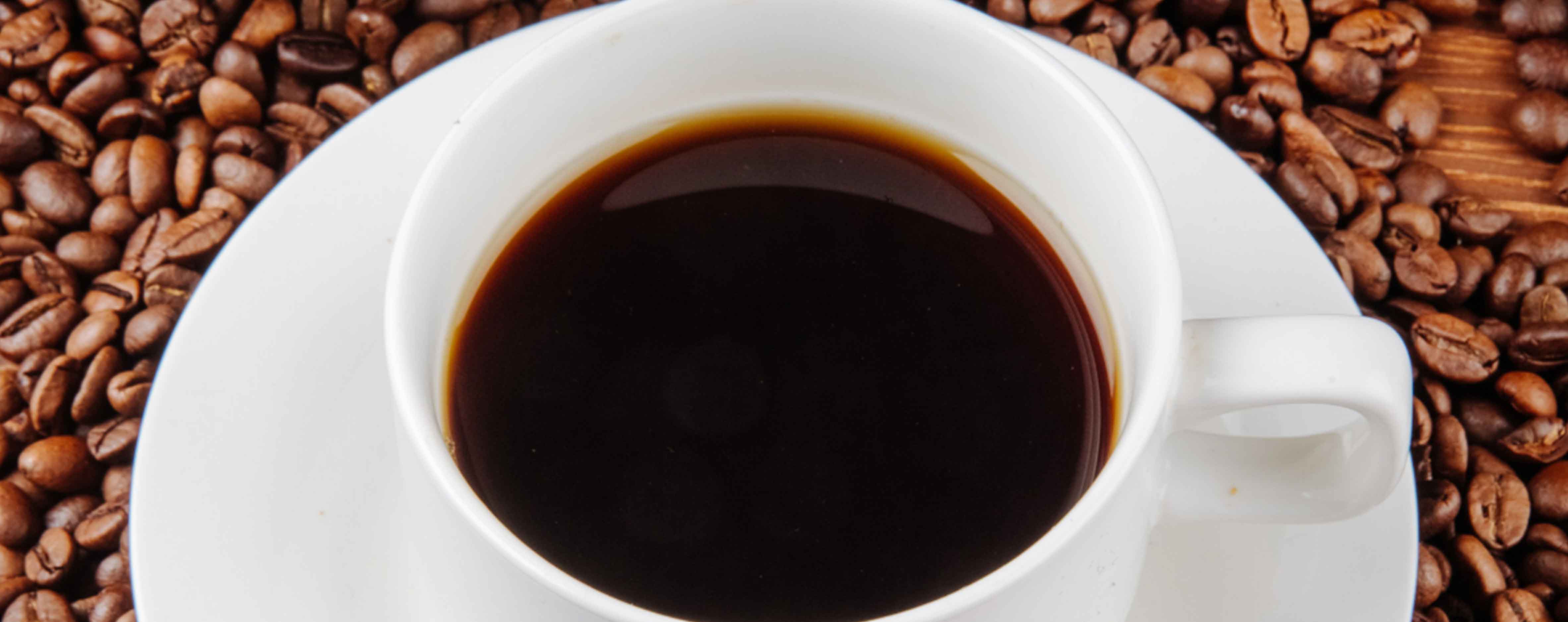 Kelompok profesional sedang rapat di ruang kantor modern dengan warna hijau dan emas